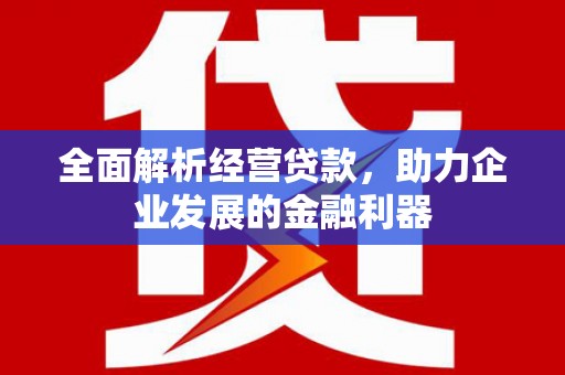 潮州全面解析经营贷款，助力企业发展的金融利器