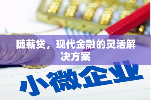 潮州随薪贷，现代金融的灵活解决方案