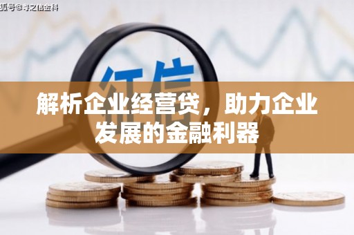 潮州解析企业经营贷，助力企业发展的金融利器