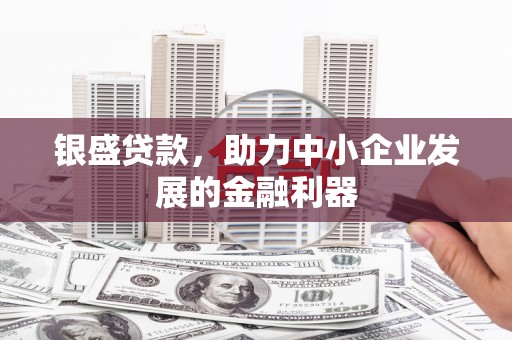 潮州银盛贷款，助力中小企业发展的金融利器