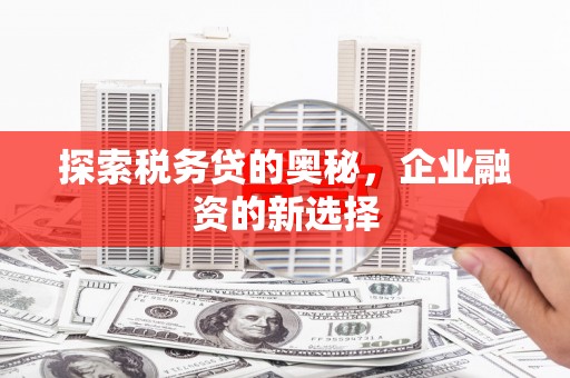 潮州探索税务贷的奥秘，企业融资的新选择