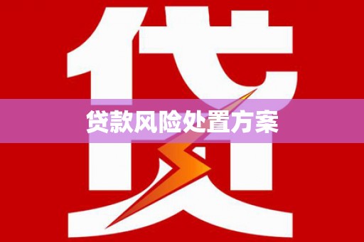 潮州贷款风险处置方案