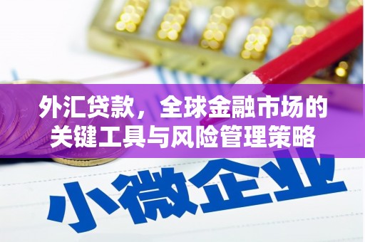潮州外汇贷款，全球金融市场的关键工具与风险管理策略