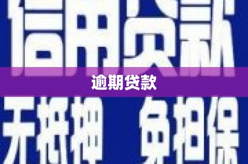 潮州逾期贷款