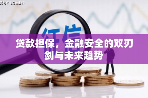 潮州贷款担保，金融安全的双刃剑与未来趋势