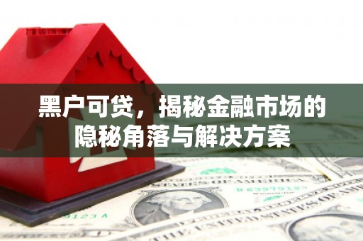潮州黑户可贷，揭秘金融市场的隐秘角落与解决方案