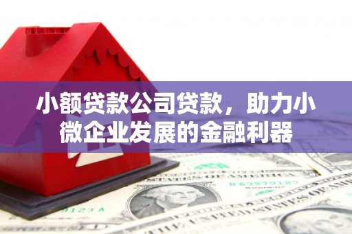 潮州小额贷款公司贷款，助力小微企业发展的金融利器