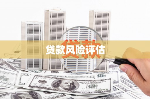 潮州贷款风险评估