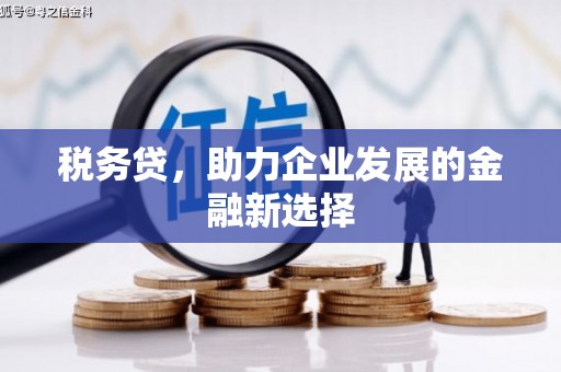 潮州税务贷，助力企业发展的金融新选择