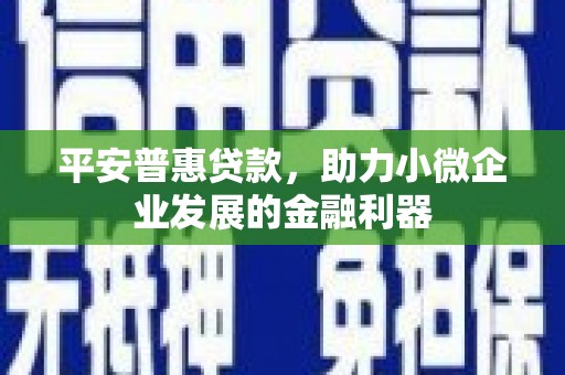 潮州平安普惠贷款，助力小微企业发展的金融利器
