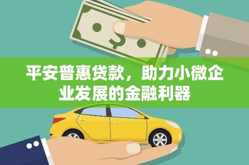 潮州平安普惠贷款，助力小微企业发展的金融利器