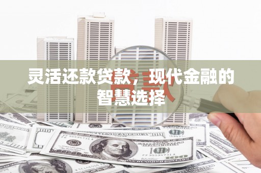 潮州灵活还款贷款，现代金融的智慧选择