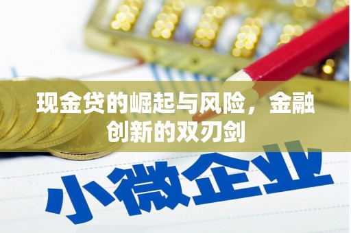 潮州现金贷的崛起与风险，金融创新的双刃剑