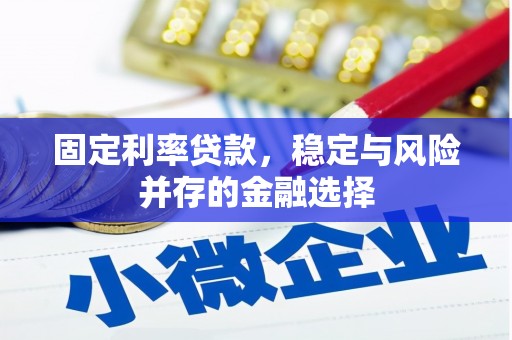 潮州固定利率贷款，稳定与风险并存的金融选择