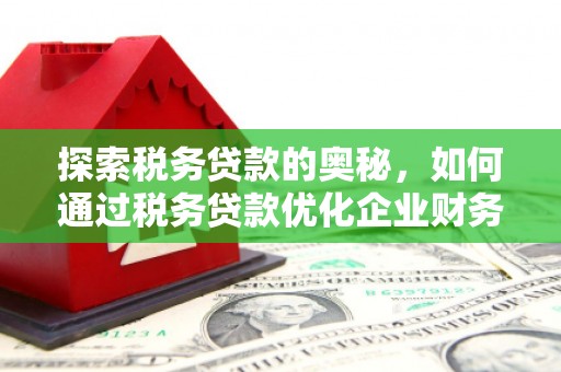 潮州探索税务贷款的奥秘，如何通过税务贷款优化企业财务