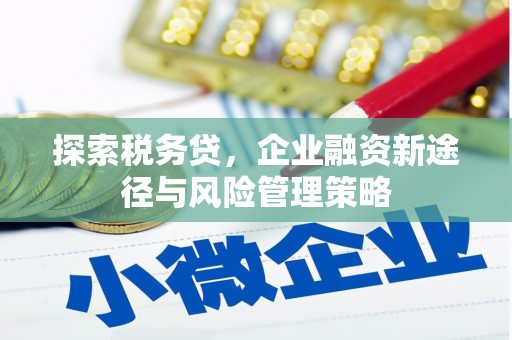 潮州探索税务贷，企业融资新途径与风险管理策略
