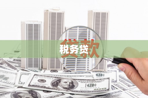 潮州税务贷