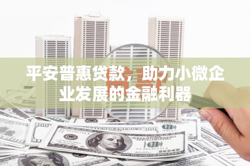 潮州平安普惠贷款，助力小微企业发展的金融利器