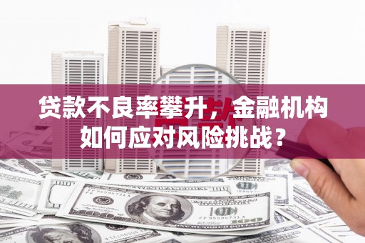 潮州贷款不良率攀升，金融机构如何应对风险挑战？