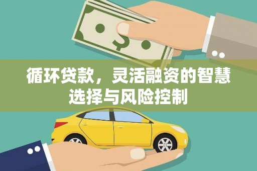 潮州循环贷款，灵活融资的智慧选择与风险控制