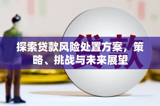 潮州探索贷款风险处置方案，策略、挑战与未来展望