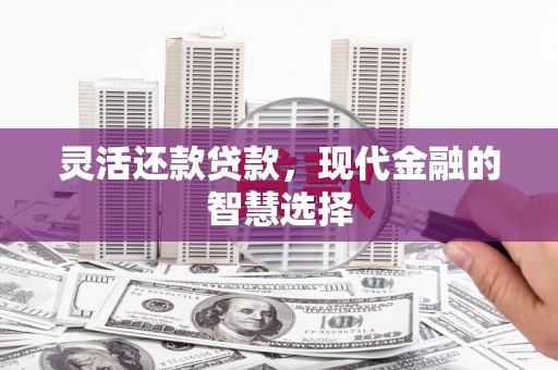 潮州灵活还款贷款，现代金融的智慧选择