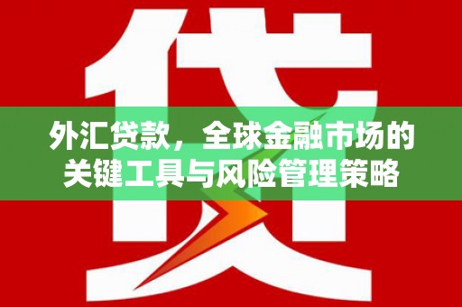 潮州外汇贷款，全球金融市场的关键工具与风险管理策略