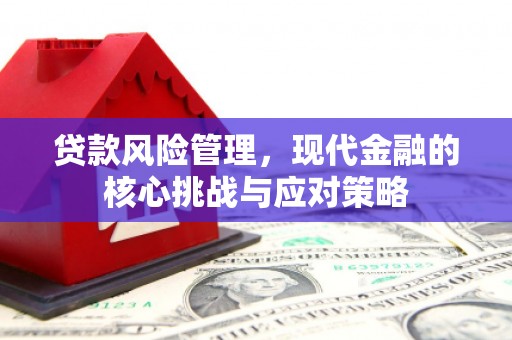 潮州贷款风险管理，现代金融的核心挑战与应对策略