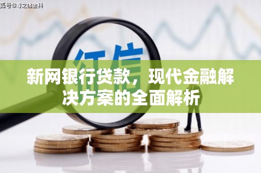 潮州新网银行贷款，现代金融解决方案的全面解析