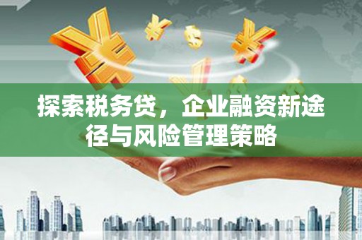 潮州探索税务贷，企业融资新途径与风险管理策略