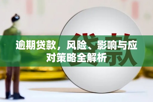 潮州逾期贷款，风险、影响与应对策略全解析