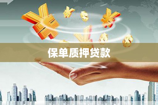 潮州保单质押贷款
