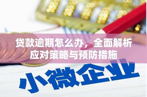 潮州贷款逾期怎么办，全面解析应对策略与预防措施