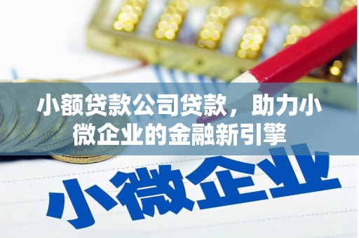 潮州小额贷款公司贷款，助力小微企业的金融新引擎