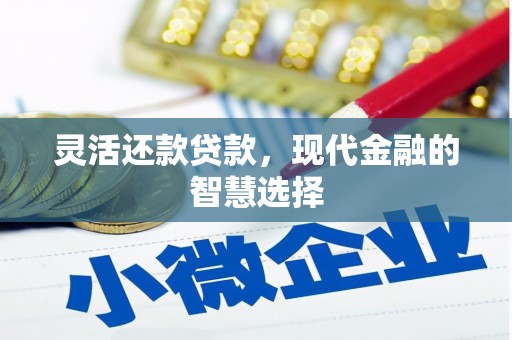 潮州灵活还款贷款，现代金融的智慧选择