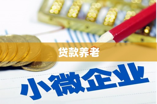 潮州贷款养老