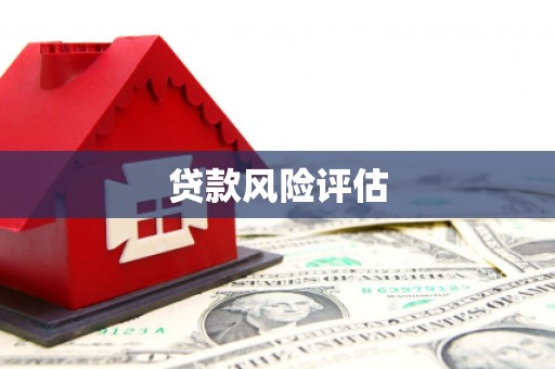 潮州贷款风险评估