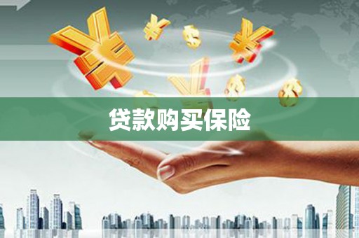 潮州贷款购买保险