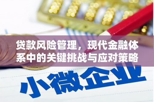 潮州贷款风险管理，现代金融体系中的关键挑战与应对策略