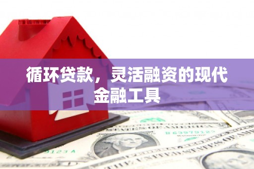 潮州循环贷款，灵活融资的现代金融工具