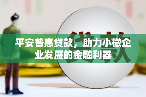 潮州平安普惠贷款，助力小微企业发展的金融利器