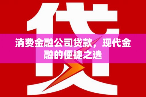 潮州消费金融公司贷款，现代金融的便捷之选