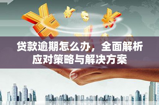 潮州贷款逾期怎么办，全面解析应对策略与解决方案